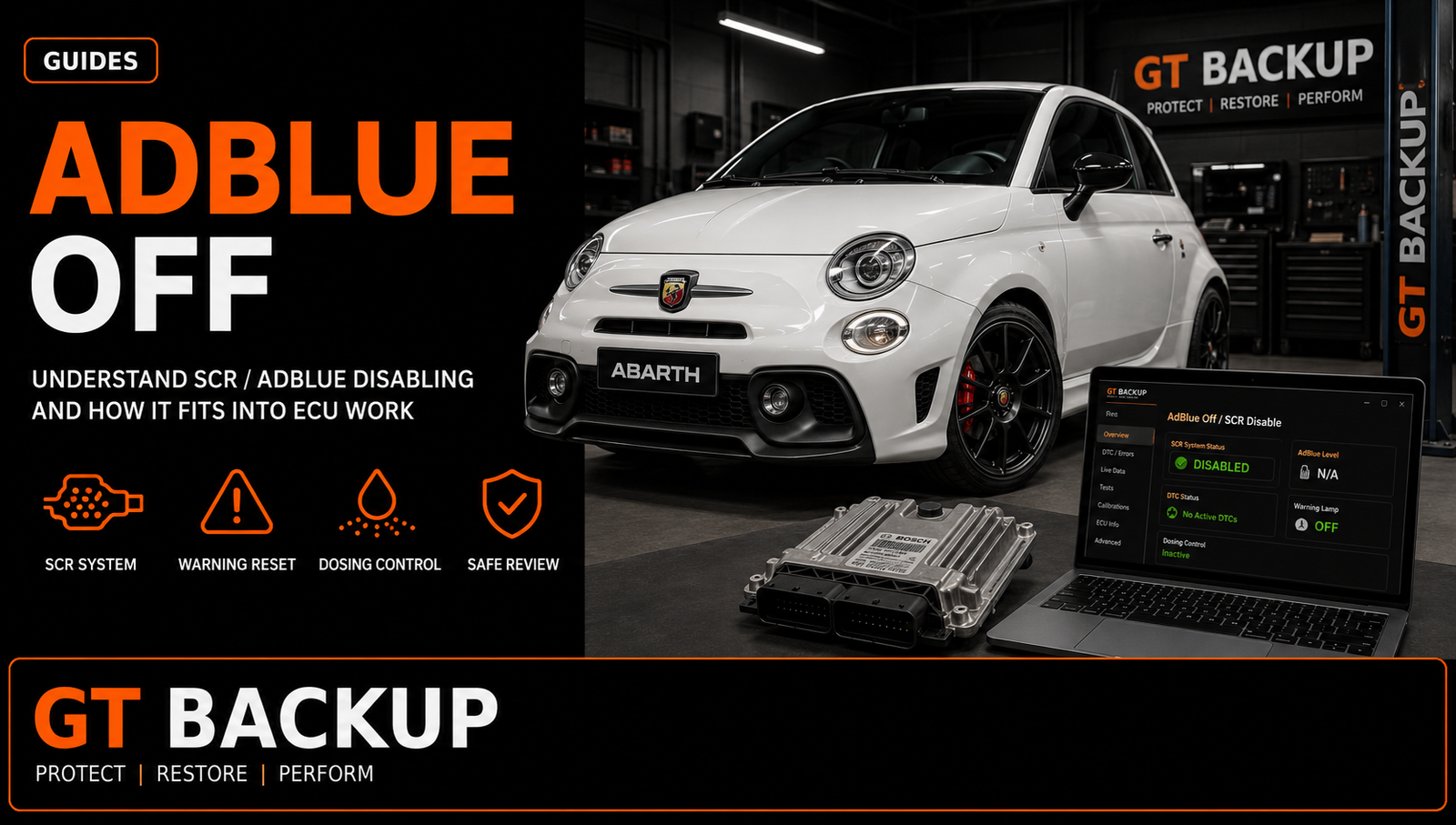 AdBlue OFF and SCR delete solution for ECU software files