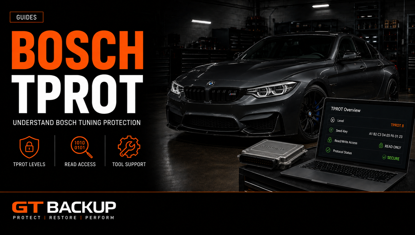 Bosch TPROT ECU protection system for secure reading and programming