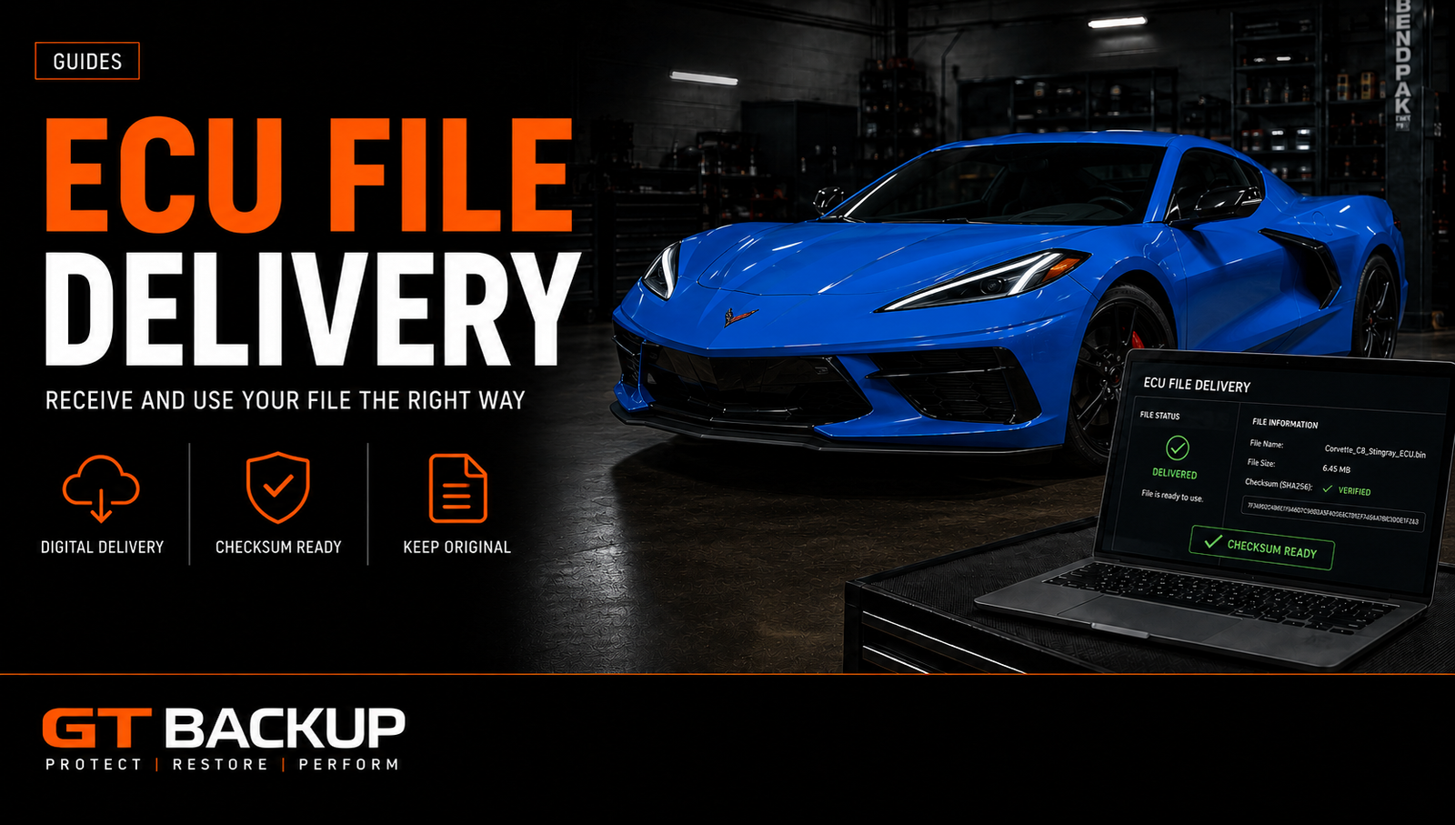 Secure ECU file delivery for professional tuning and calibration services